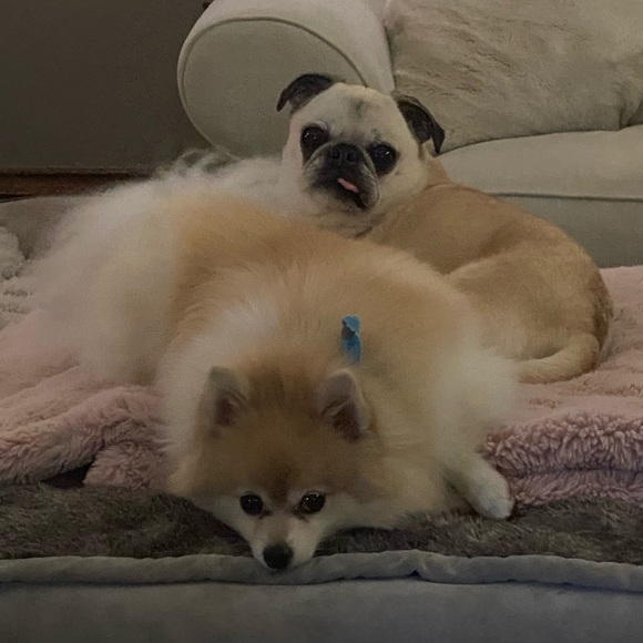 Meet the seller 😍😘😍😘😍 Taliadiva!! Read about me and my policy’s - Picture 3 of 4